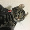 なるちよ