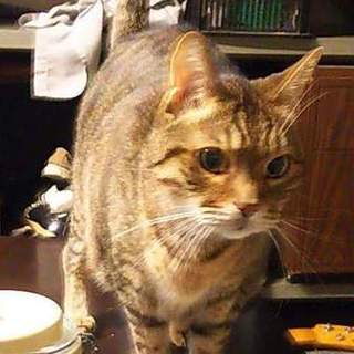 代理掲載・エイキチ