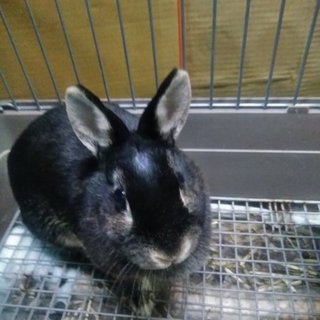 飼育セット付き！