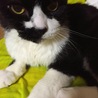 家族だったピーコです。
