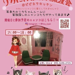 リカにゃんハウス譲渡会
