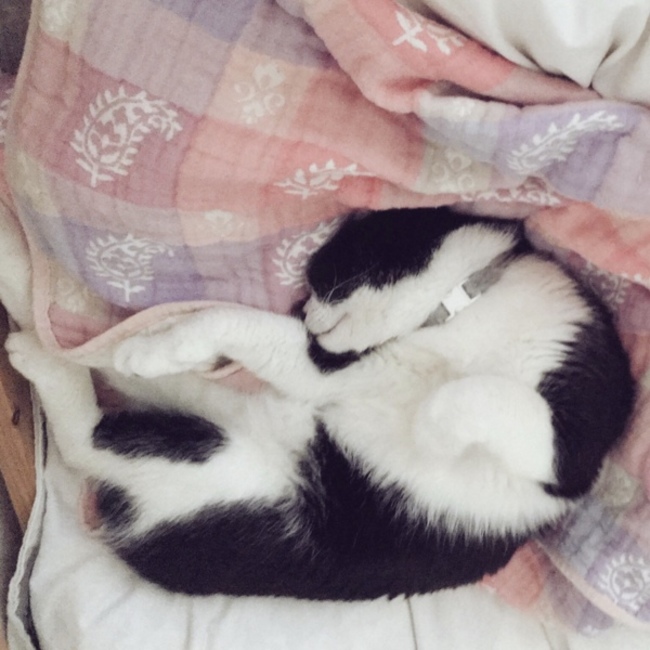 ほとくらのカバー写真
