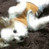 まちさく