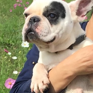 チャーミングなてんちゃん/有難うございました！