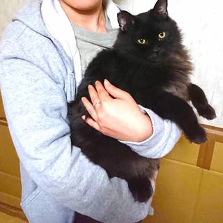 ☆素敵な家族ができました☆