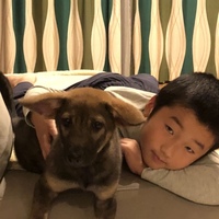 すず