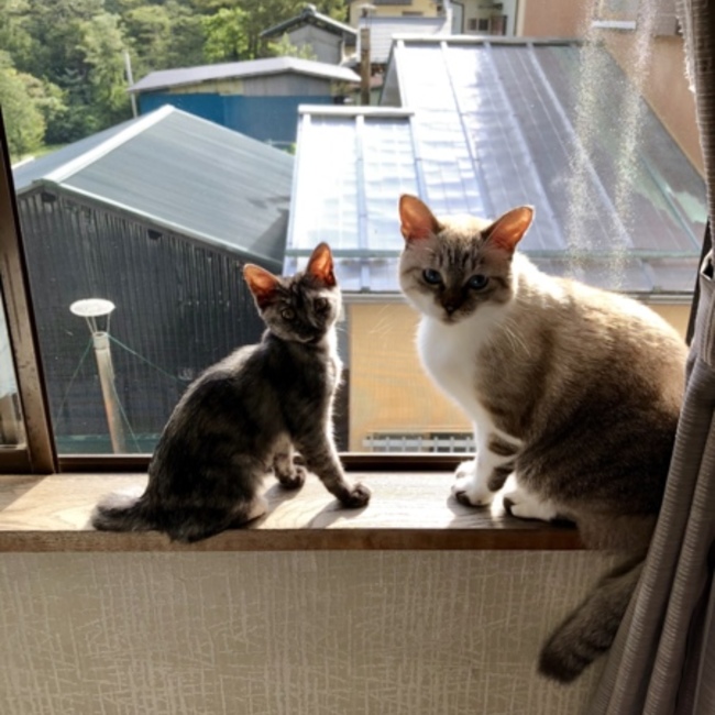moooooe87のカバー写真