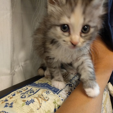 ようこそ我家へ