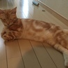 の写真
