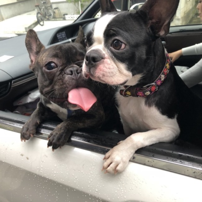 こううちのカバー写真