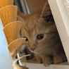 はるな0105 さん