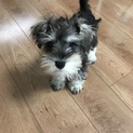 皆さまメッセージ本当にありがとうございました！