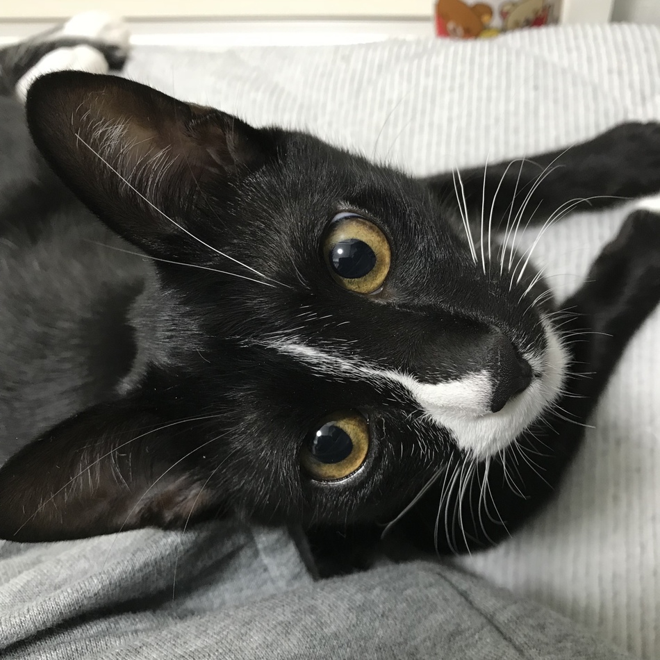 クリスのカバー写真