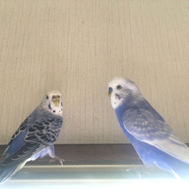 sachiko.oのカバー写真