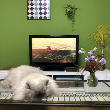 テレビみにゃいで僕を…み…て…ZZz