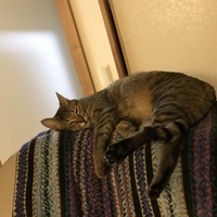 ルイ