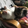 小さい頃とあまり変わりまちぇーんかね…。