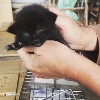 【募集を締め切りました】