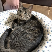あんり