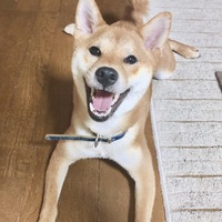 祭