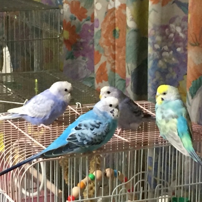 775310のカバー写真