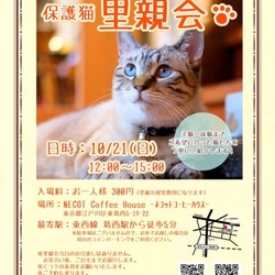 ネコ好きによる、ネコのための里親会