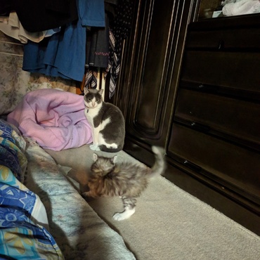 オネエさまにご挨拶