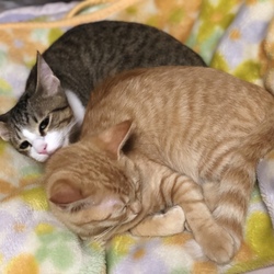 「お久しぶりです！」サムネイル2