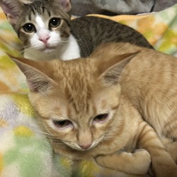 「お久しぶりです！」サムネイル3