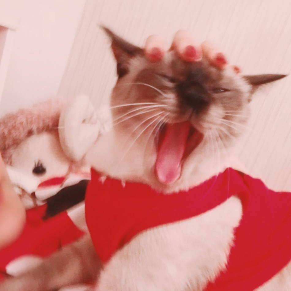 麦のカバー写真