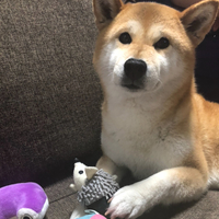 ハル