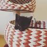 可愛い黒猫子猫の里親さん募集 サムネイル3