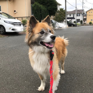 人馴れ抜群♪もふもふムクくん。