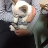 家族になった日♡
