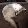 まだおでぶになる前(≧ε≦● )ﾌﾟｯ