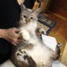 お腹たぽんたぽん(*ﾉω・*)ﾃﾍ