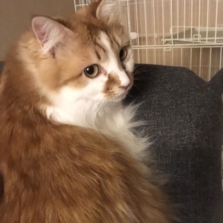 一人遊びも大好きです