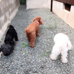 のんびりと(^-^)