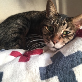 よく喋ります！