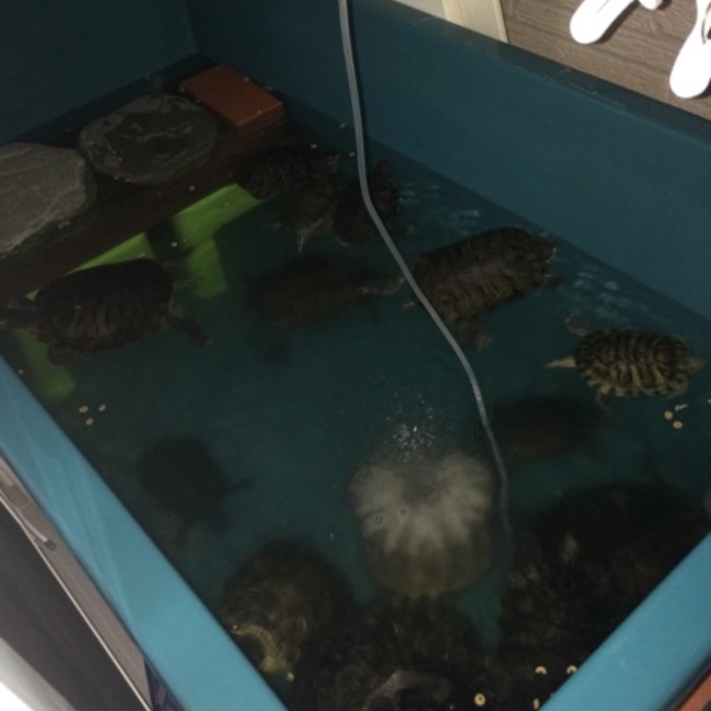 セブンイレブンのカバー写真