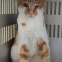 里親様が決まりました♡有難うございました！