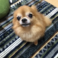 あぽろ