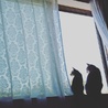 あくあふ さん