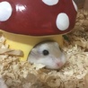 瑠華★ さん