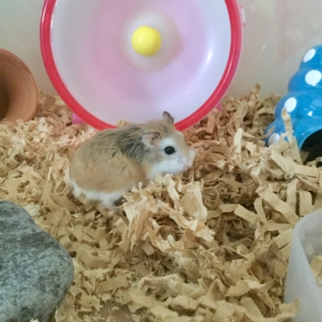 瑠華★のカバー写真
