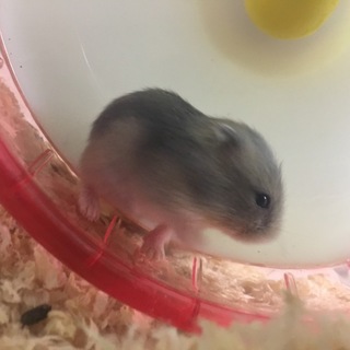 交渉中のため募集はストップしています