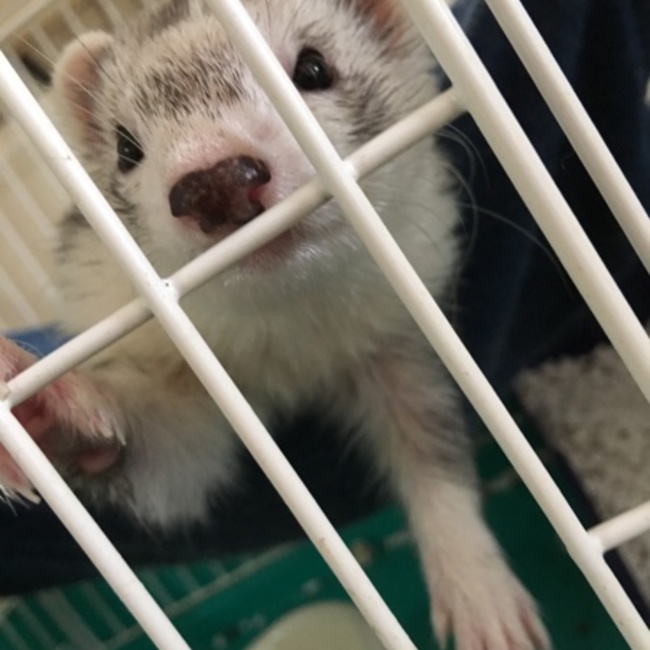 リュウジ62のカバー写真