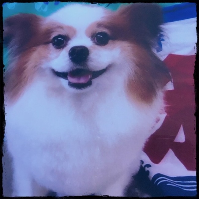 カーン1021のカバー写真