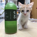 トライアル中のため、一時中止