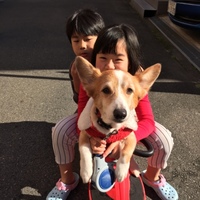 むさむさむさし